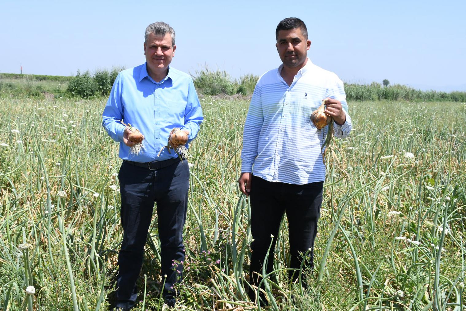 Barut: Soğan tarlada kaldı Barut: Soğan tarlada kaldı