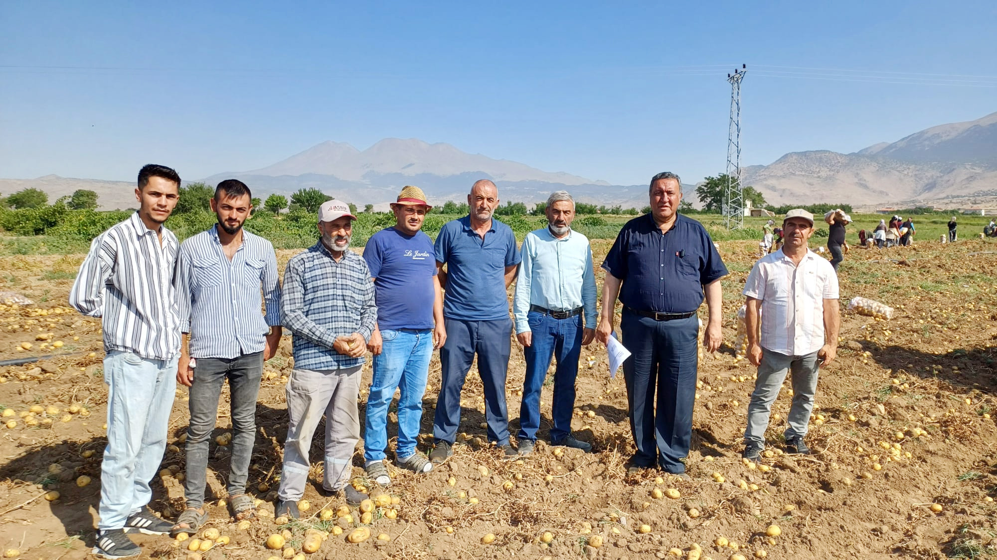 Gürer: Patates tarladan sofraya değil, çöpe gidiyor
