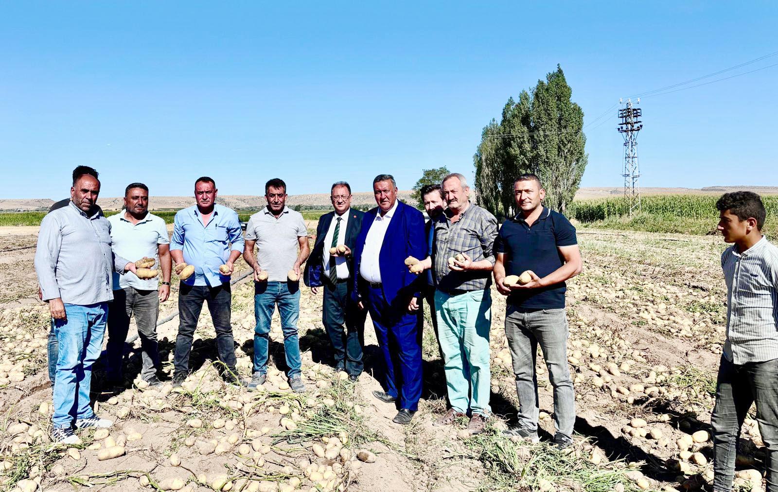 PATATESTE KRİZ SÜRÜYOR