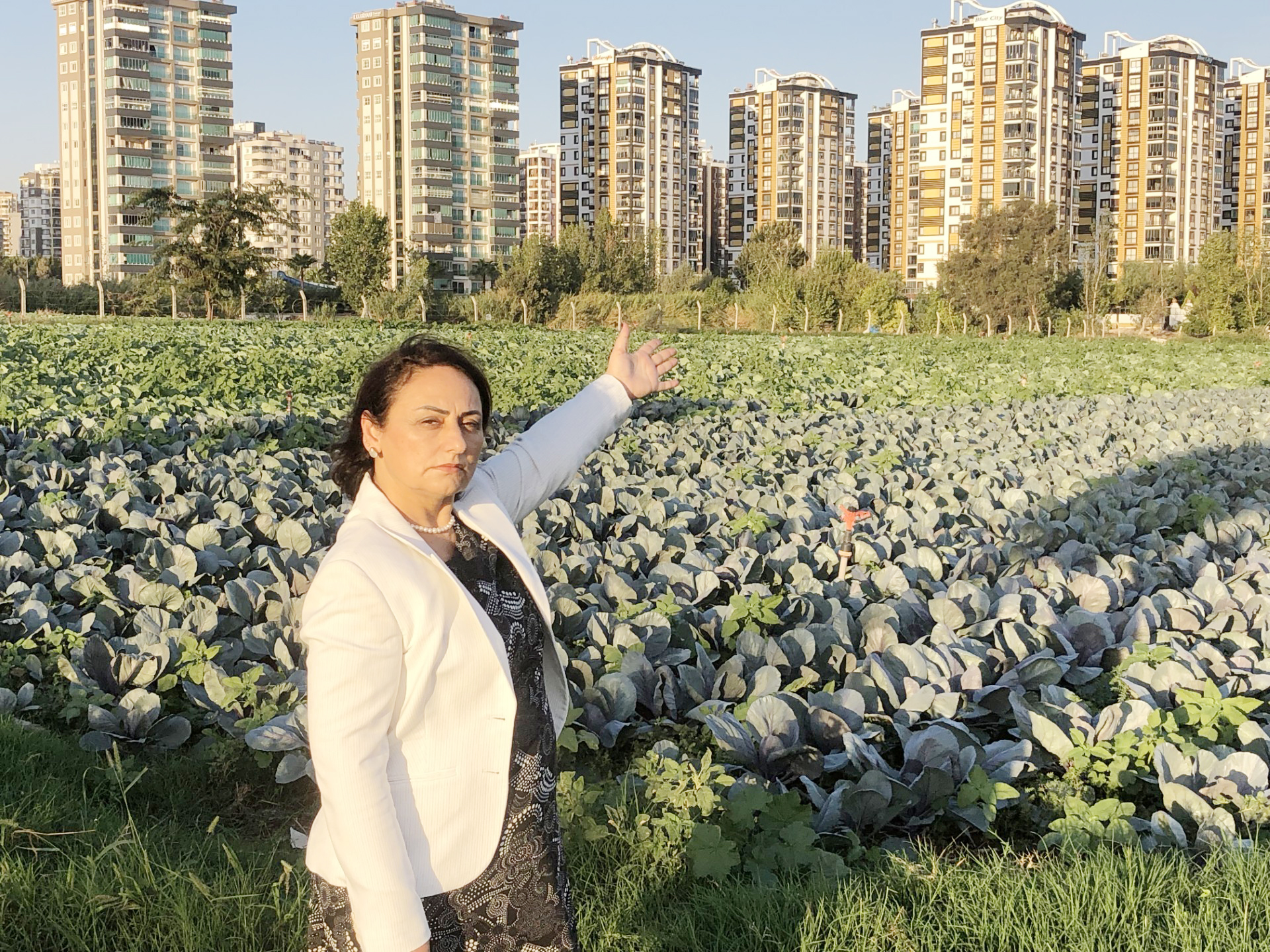 CHP’Lİ ŞEVKİN; “TARIM VE HAYVANCILIK ‘ACİL DURUM SİNYALİ’ VERİYOR” DEDİ