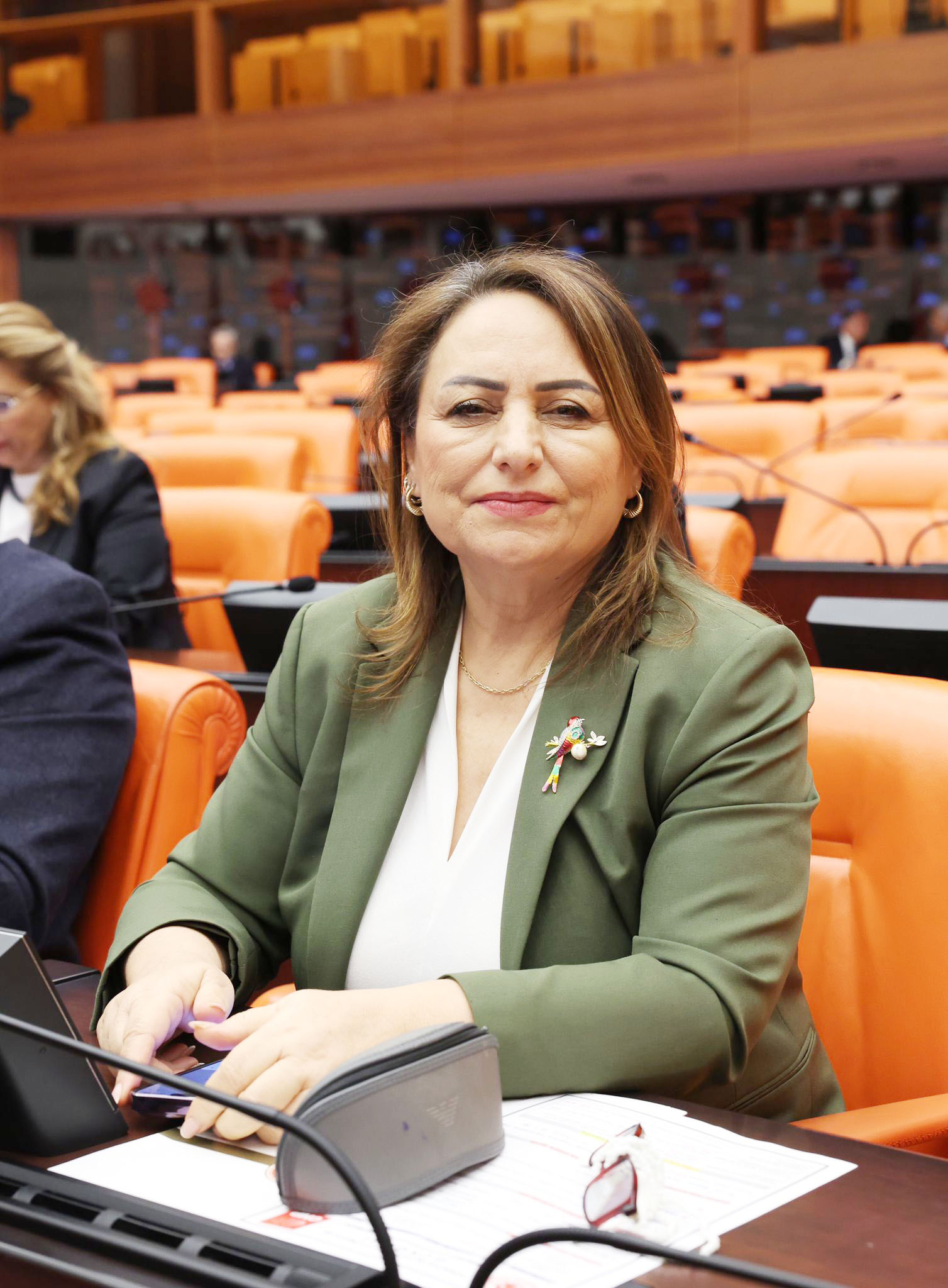CHP’Lİ MÜZEYYEN ŞEVKİN, MECLİS’TE ALADAĞ’IN SORUNLARINI ANLATTI