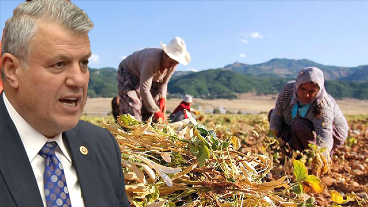 ÇİFTÇİYE MÜJDE! FAİZ YÜKÜNE SON VERİLDİ