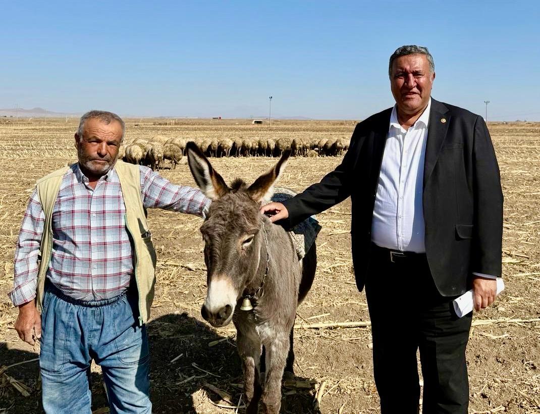 TARIMDAN SONRA, HAYVANCILIKTA ÇÖKÜYOR