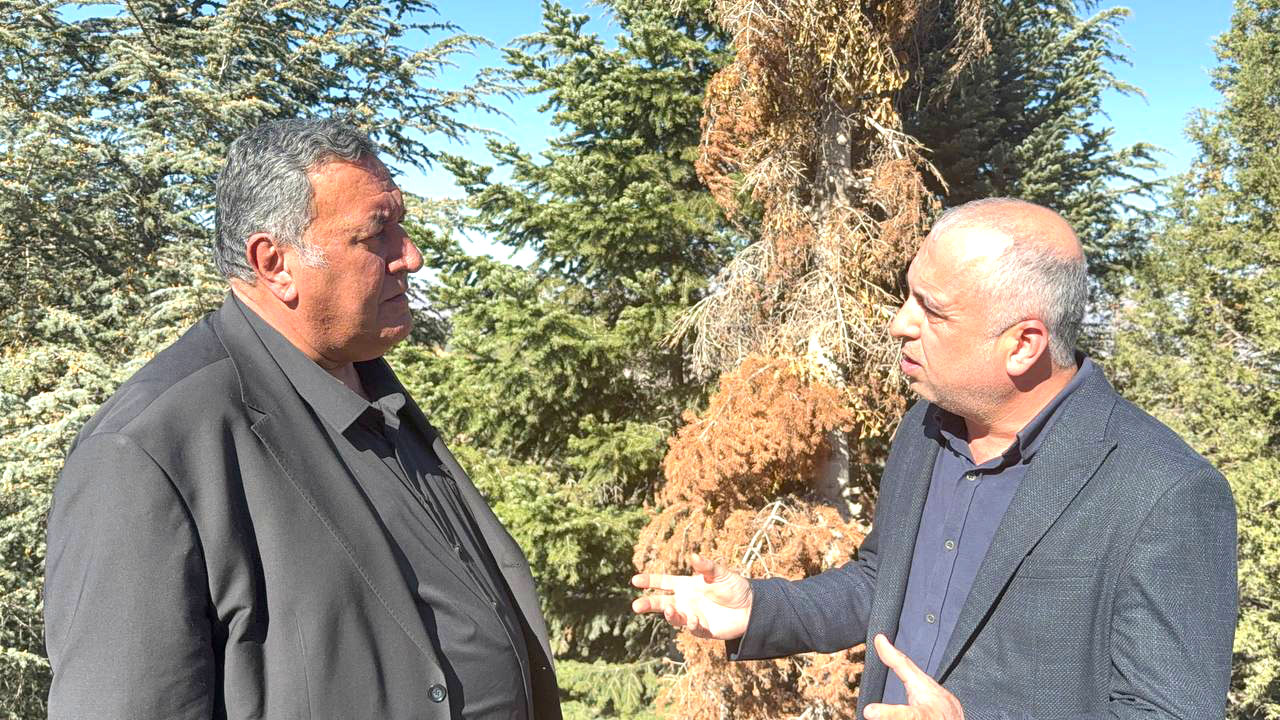 CHP’Lİ GÜRER; “ORMANLARIN GELECEĞİ TEHLİKEDE”
