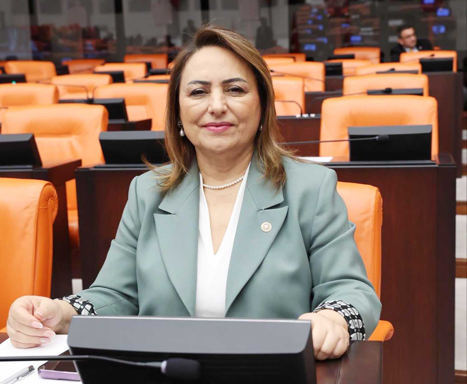 CHP’Lİ DR. ŞEVKİN, YUMURTALIK İLÇESİNİN SORUNLARINA MECLİS’TE ÇÖZÜM ARADI