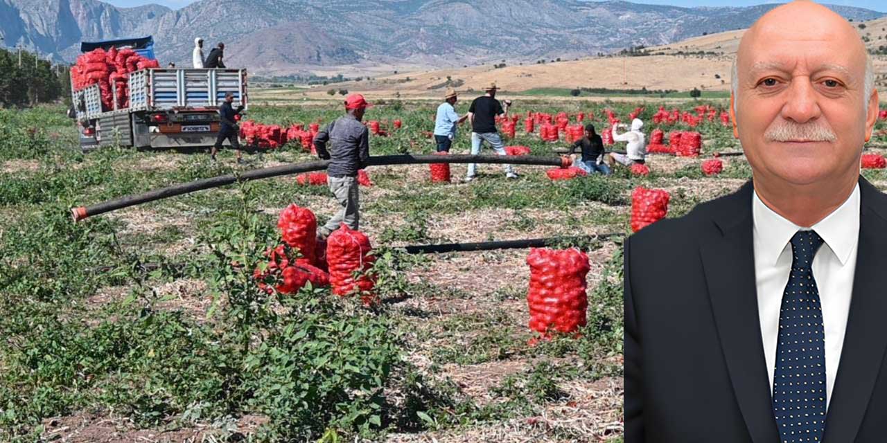 PATATES ÜRETİCİDE 5 LİRA, MARKETTE İSE 25 LİRA