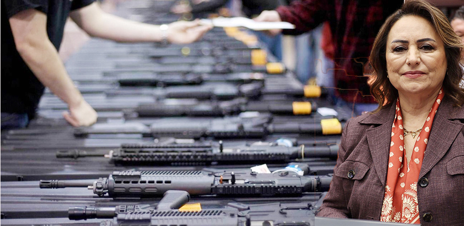 CHP Adana Milletvekili Dr. Müzeyyen Şevkin’den silahsızlanma çağrısı