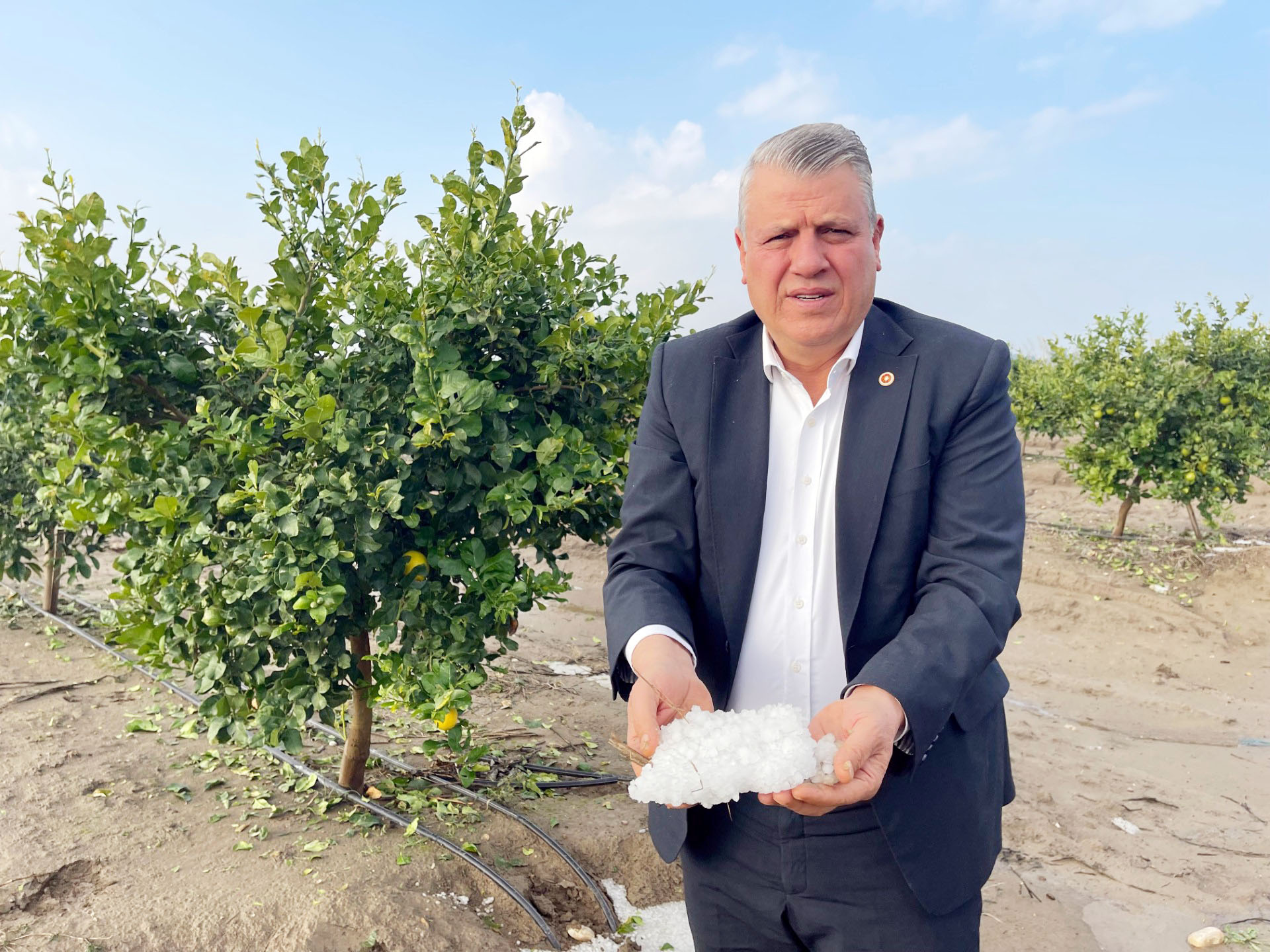 Adanalı üreticileri bir kez daha dolu vurdu, Ayhan Barut, acil destek çağrısı yaptı