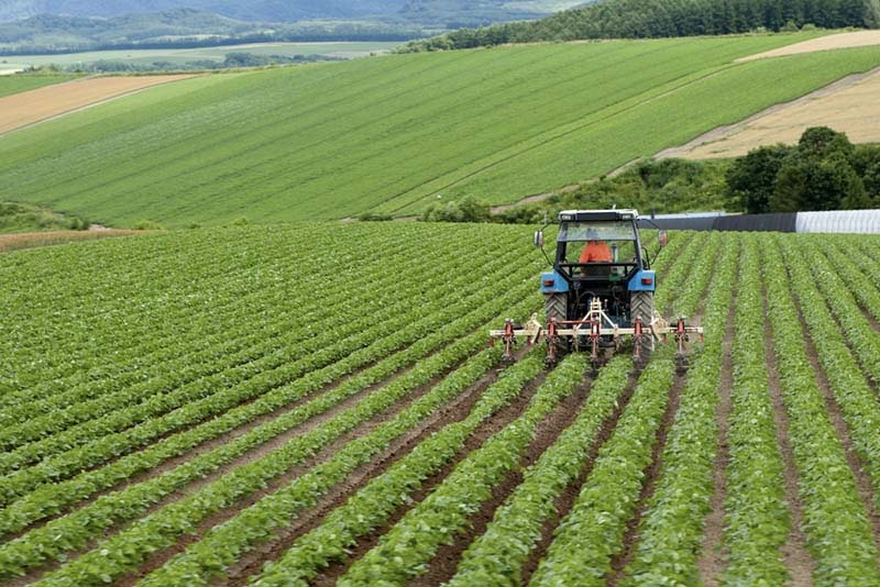 TÜİK AÇIKLADI: ÜRETİCİNİN MALİYET ARTIŞI %33,6 OLDU